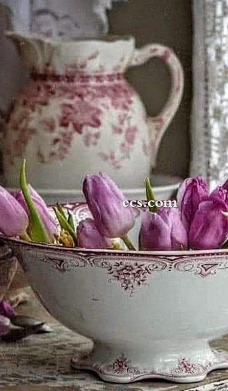 A little 🪻bit of 🌷 Spring 🌱~134