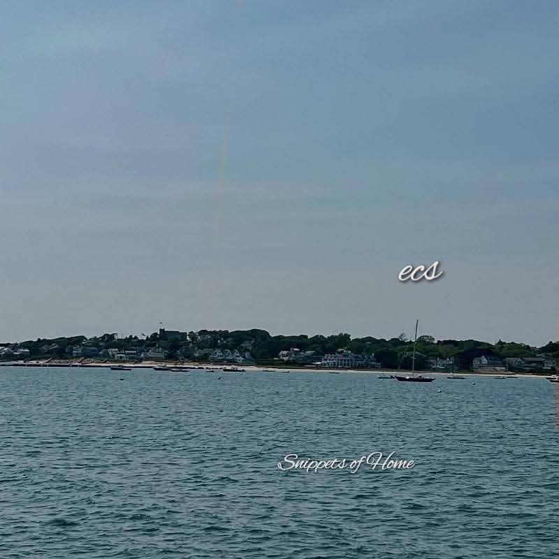 🌊By 🐟the⛵ sea~175