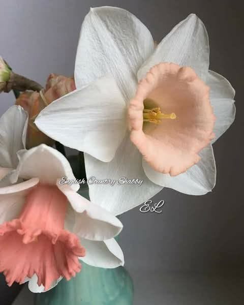 🌼🌱🌸🐰~207