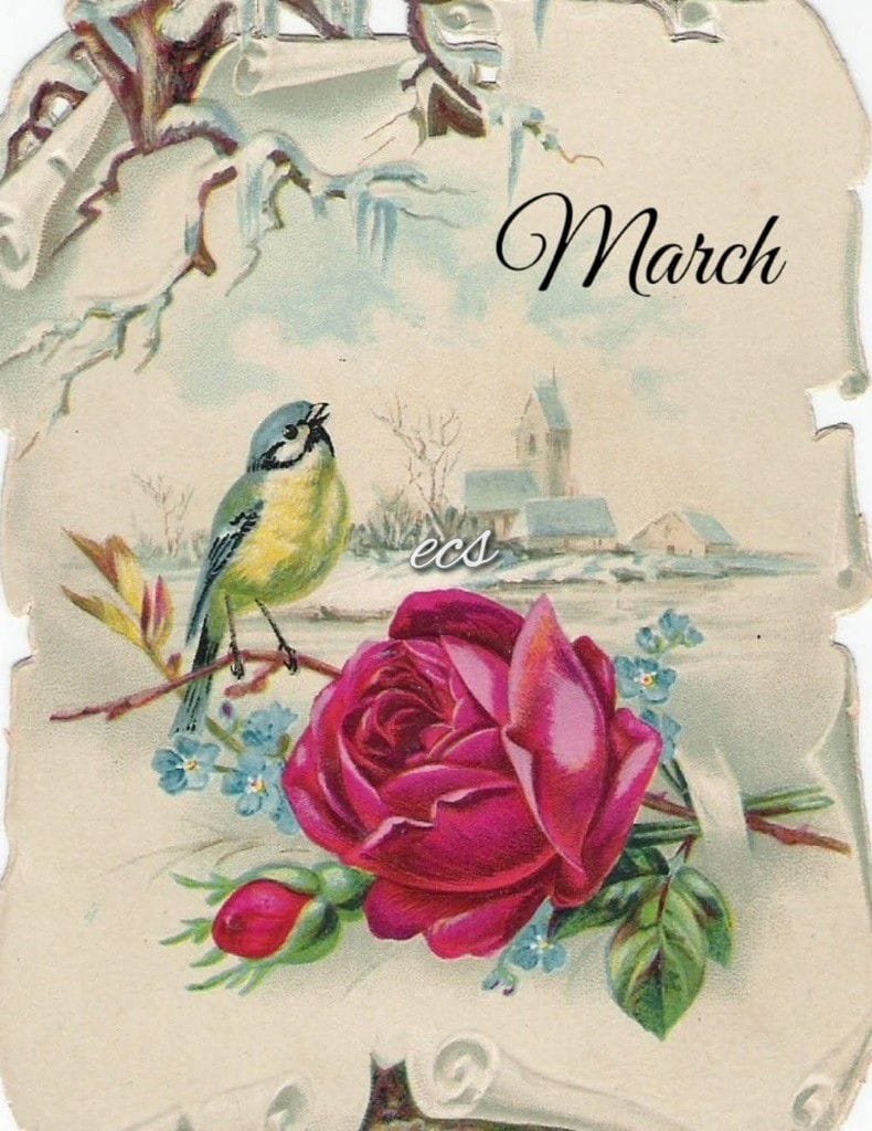 🌷Spring🪻~178🌾