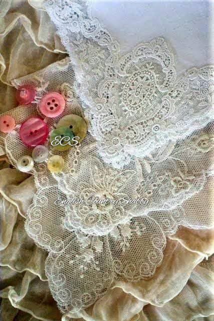 🪻🌳🪿🦋🍒~217