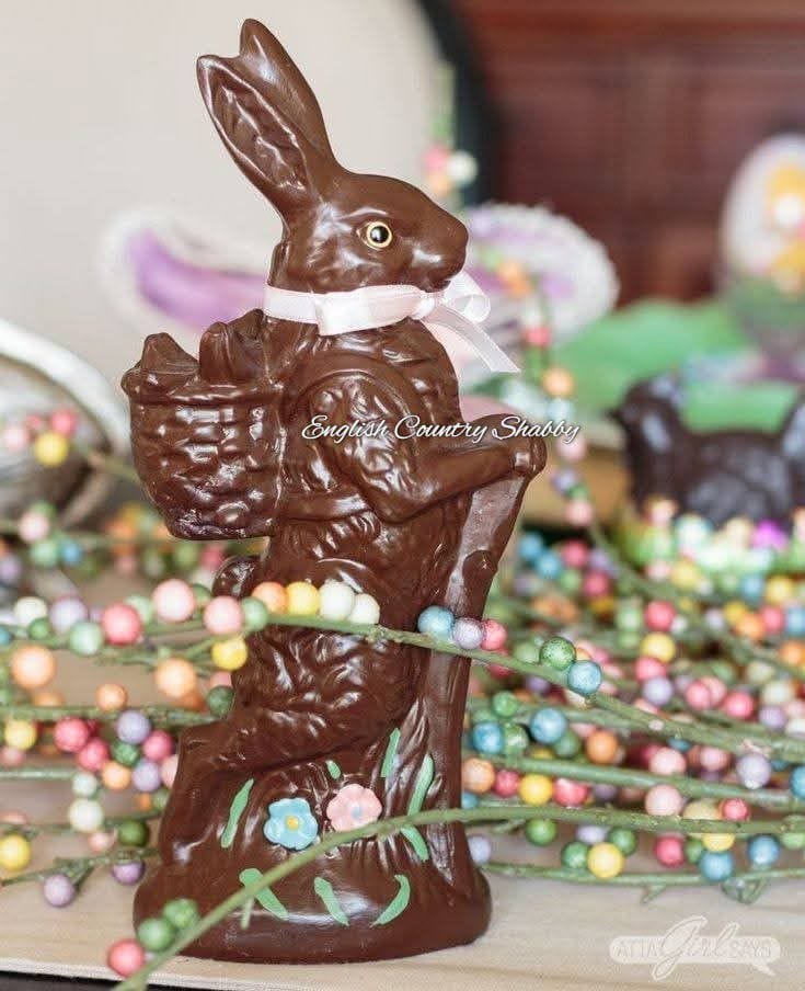 🧁🌼🌷🐰🌱🥕~208