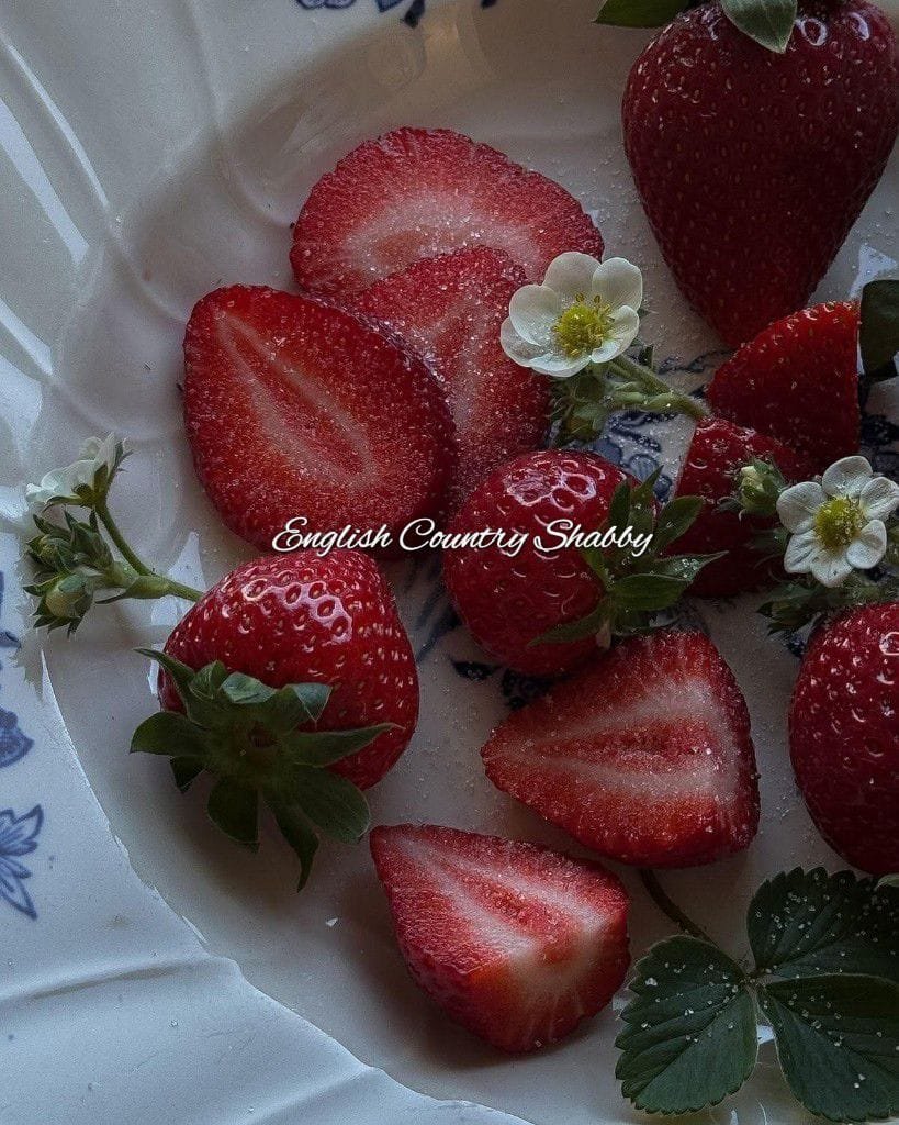 🍃🌸🍓~254