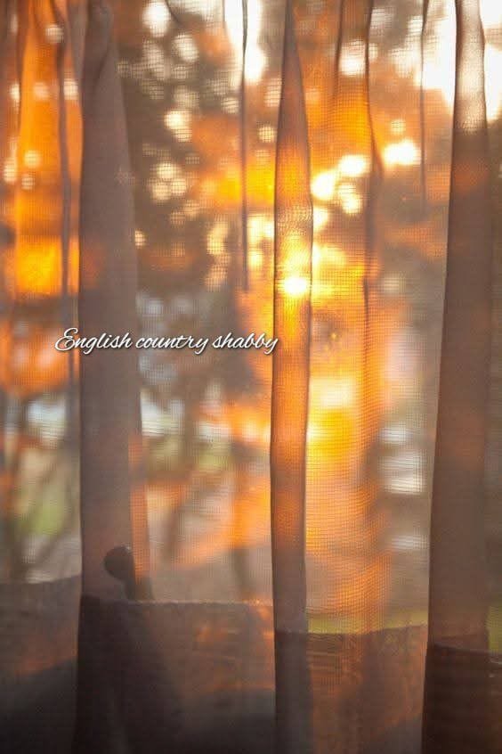 🌿Morning Calm🐦~267