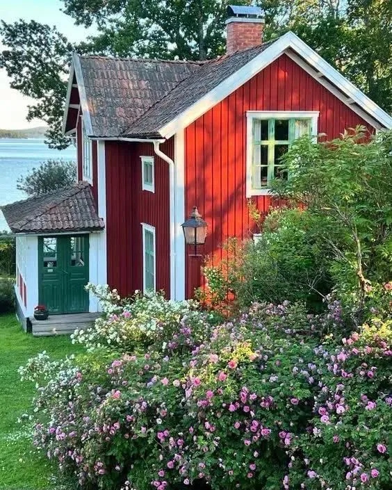 🌼🌱🥀~353