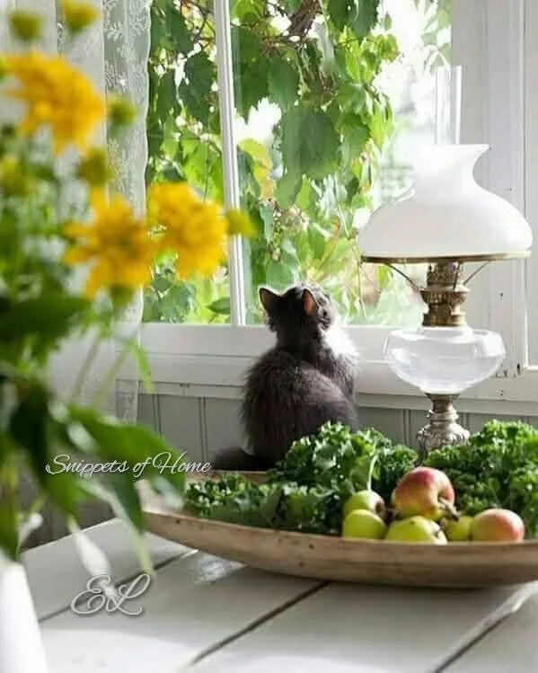 🌾🍏🐦🐈‍⬛~354