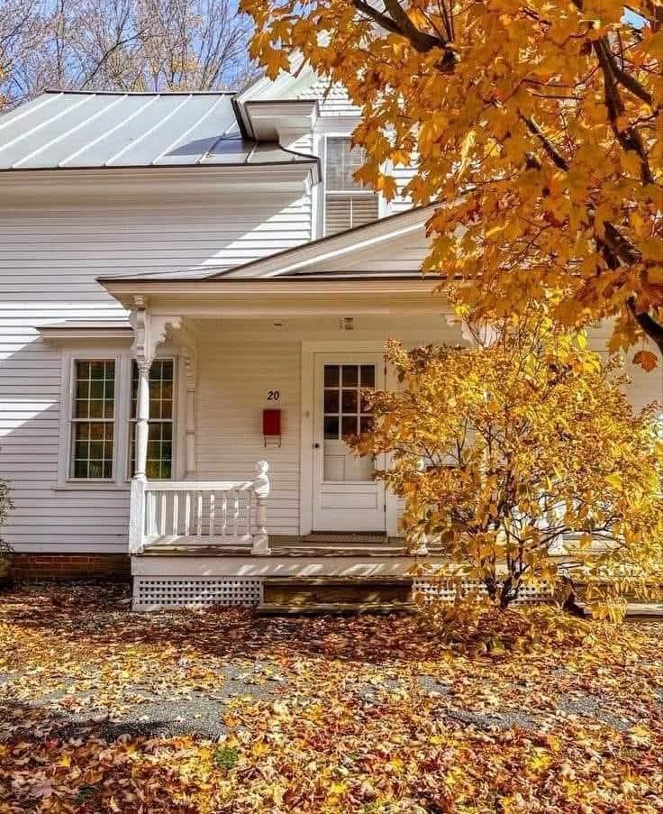 🍂🤎🌻~367